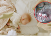 Infant Sleep Safety: Cosy bedding for baby may not be safe: What every parent should know about their infant’s sleep space