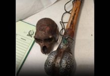 Passenger carrying ‘Monkey Skull’ in bag detained at Delhi airport by CISF; wildlife case now under investigation