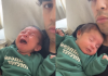 Can it actually soothe babies?