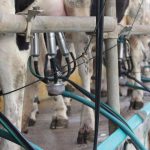 Milk prices rise by Rs 2/litre; milk products to be 8-10% more costly in Pune