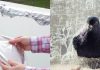 Can aluminium foil keep pigeons away? Here’s what to know about the balcony hack