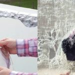 Can aluminium foil keep pigeons away? Here’s what to know about the balcony hack