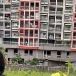 NIBM residents turn neglected garbage dump into a community green space
