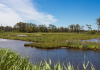 In 2015, a storm flooded and destroyed a Virginia wildlife refuge beach parking lot; now officials are moving it 2.5 miles north so dunes and saltmarsh can reclaim the old site