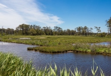 In 2015, a storm flooded and destroyed a Virginia wildlife refuge beach parking lot; now officials are moving it 2.5 miles north so dunes and saltmarsh can reclaim the old site