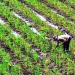 Monsoon break erases gains, water stress may rise in parts of Maharashtra