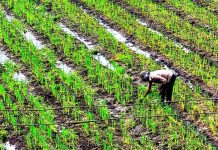 Monsoon break erases gains, water stress may rise in parts of Maharashtra