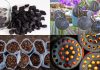 5 practical uses of coconut shell