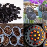 5 practical uses of coconut shell