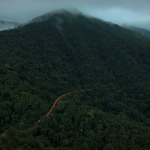 Orange Snake: Vande Bharat turns into an ‘orange snake’ as it winds through misty Western Ghats; breathtaking aerial video goes viral – Watch here