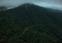 Orange Snake: Vande Bharat turns into an ‘orange snake’ as it winds through misty Western Ghats; breathtaking aerial video goes viral – Watch here