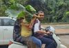Pune city gets light rain, isolated heavy showers continue in ghats