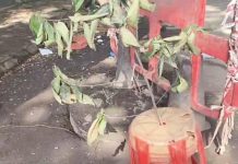 Two die inside underground BSNL chamber in Nigdi near Pune, where three suffocated to death last year