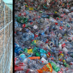 A Mexican entrepreneur began melting discarded plastic into wall and roof panels; within three years his startup had built 500 rooms and secured contracts for 300 homes