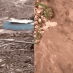 Watch: Grand Canyon flash flood sends bunkhouse, boulders rushing downstream; at least 20 missing