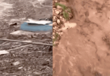 Watch: Grand Canyon flash flood sends bunkhouse, boulders rushing downstream; at least 20 missing