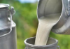 Milk gets costlier: Tamil Nadu raises procurement price; wholesale prices in Mumbai to cross Rs 100