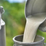 Milk gets costlier: Tamil Nadu raises procurement price; wholesale prices in Mumbai to cross Rs 100