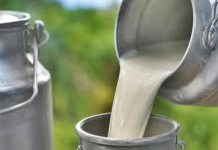 Milk gets costlier: Tamil Nadu raises procurement price; wholesale prices in Mumbai to cross Rs 100