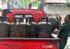 Commercial LPG prices raised by Rs 9.5 for every 19kg cylinder; ATF rates also hiked