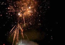 Government bodies differ, Centre to test green crackers afresh