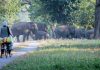 Desert National Park in Rajasthan & Sultanpur National Park in Haryana already exceed US critical-load thresholds: Study flags rising nitrogen threat to India’s national parks