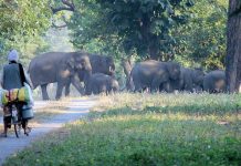 Desert National Park in Rajasthan & Sultanpur National Park in Haryana already exceed US critical-load thresholds: Study flags rising nitrogen threat to India’s national parks