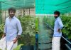 Sivakarthikeyan Greenhouse: Actor Sivakarthikeyan’s private organic greenhouse: How the actor grows seasonal vegetables and leafy greens at home