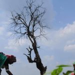 MANS demands action against self-proclaimed weather experts misguiding farmers