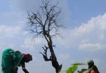 MANS demands action against self-proclaimed weather experts misguiding farmers