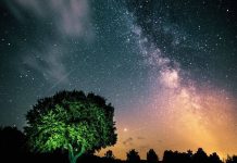 Top 5 darkest countries in the world in 2026: Where travellers can still see the Milky Way