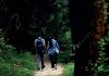 Delhi’s park, street, shop: Nowhere felt safe for these girls