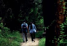 Delhi’s park, street, shop: Nowhere felt safe for these girls