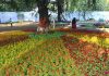 Empress Garden society opposes plan to transfer 2.5 acres for court, revenue dept official says vacant govt land allotted