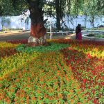 Empress Garden society opposes plan to transfer 2.5 acres for court, revenue dept official says vacant govt land allotted