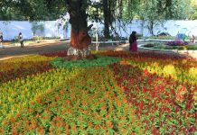 Empress Garden society opposes plan to transfer 2.5 acres for court, revenue dept official says vacant govt land allotted
