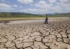 Maharashtra declares drought in 265 talukas; collectors tasked with crop-loss assessment and relief plan