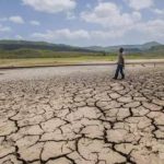 Maharashtra declares drought in 265 talukas; collectors tasked with crop-loss assessment and relief plan