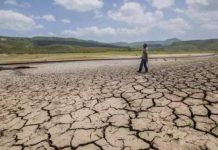 Maharashtra declares drought in 265 talukas; collectors tasked with crop-loss assessment and relief plan