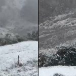 Season’s first snowfall blankets Himachal Pradesh’s Kinnaur as early winter chill reaches higher reaches |