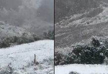 Season’s first snowfall blankets Himachal Pradesh’s Kinnaur as early winter chill reaches higher reaches |