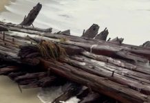Warren Sawyer Shipwreck: In 1884, the Warren Sawyer ship wrecked while carrying cotton and scrap; today, its remains were found on a Massachusetts island after a cyclone hit the region