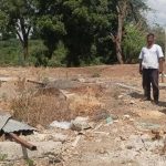 41 cattle drowned last yr, urad crop dies now: Dharashiv family count losses, awaits govt aid