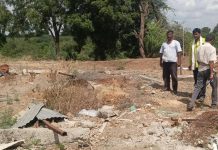 41 cattle drowned last yr, urad crop dies now: Dharashiv family count losses, awaits govt aid