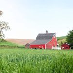 An Iowa family lived on and worked its farmland for 84 years as Tom Woods gradually expanded the operation; now 1,209 acres are being split into 13 tracts and auctioned, ending a family land chapter