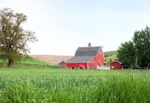 An Iowa family lived on and worked its farmland for 84 years as Tom Woods gradually expanded the operation; now 1,209 acres are being split into 13 tracts and auctioned, ending a family land chapter