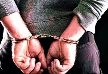 Man held for bludgeoning friend to death