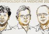 Nobel Prize in Medicine 2026: Trio win for breakthrough in optogenetics, unlocking how brain forms memories