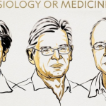 Nobel Prize in Medicine 2026: Trio win for breakthrough in optogenetics, unlocking how brain forms memories