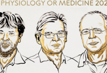 Nobel Prize in Medicine 2026: Trio win for breakthrough in optogenetics, unlocking how brain forms memories